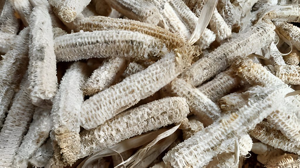 Kandungan Janggel Jagung: Bermanfaat untuk Pakan Ternak!