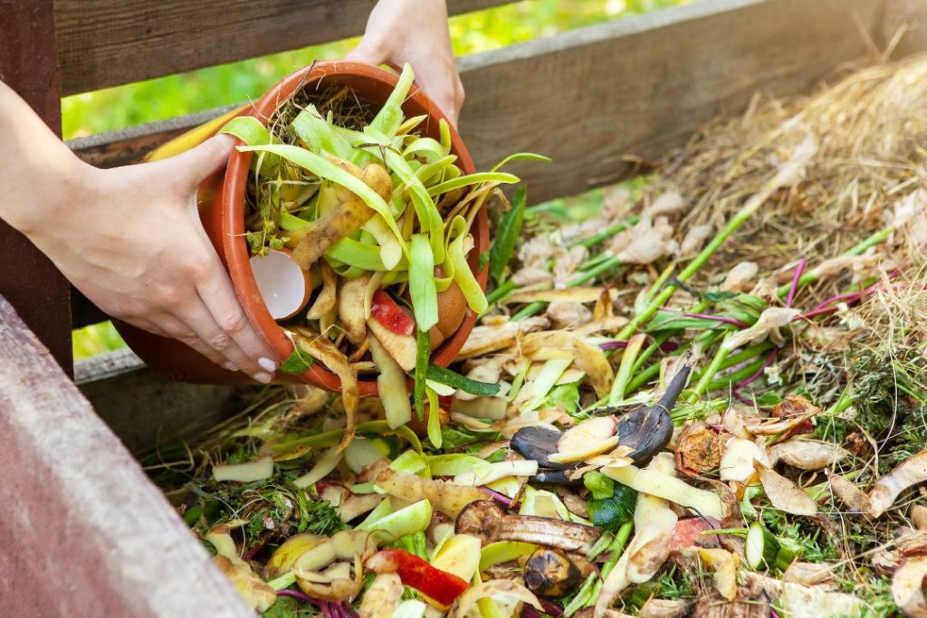 10 Manfaat Sampah Organik yang Wajib Kamu Ketahui!