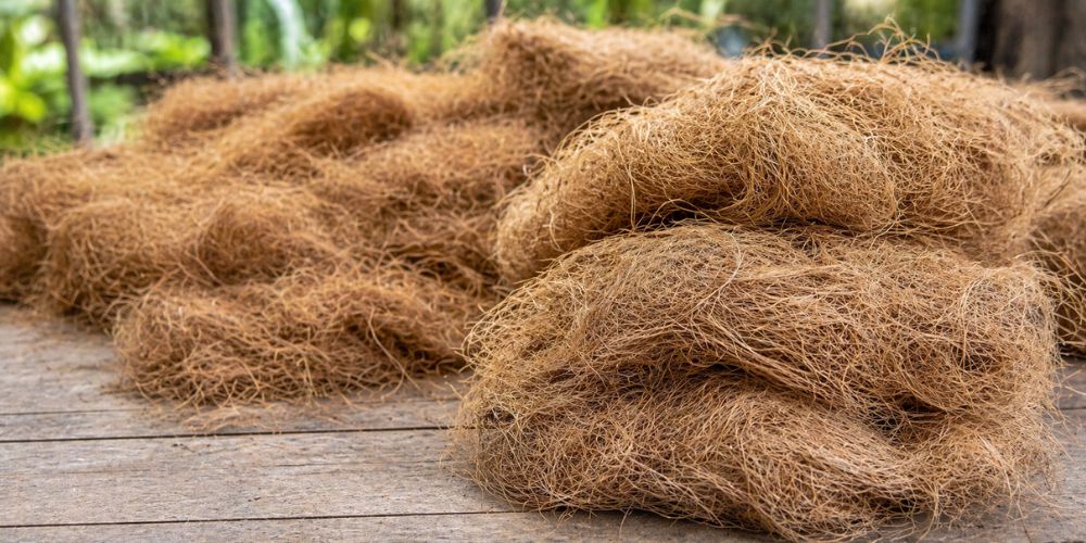 beda cocopeat dan cocofiber